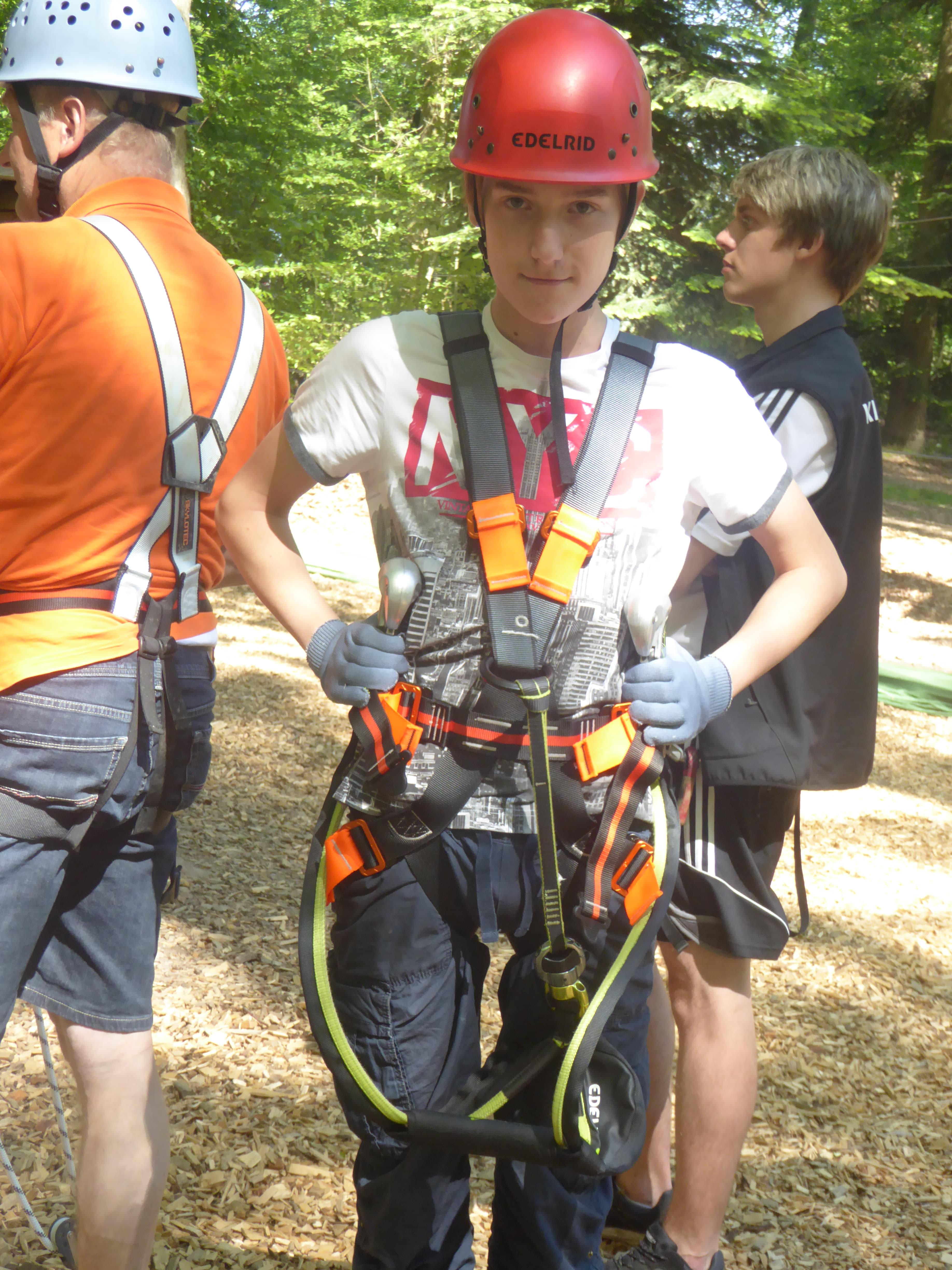 Climbing in the forrest