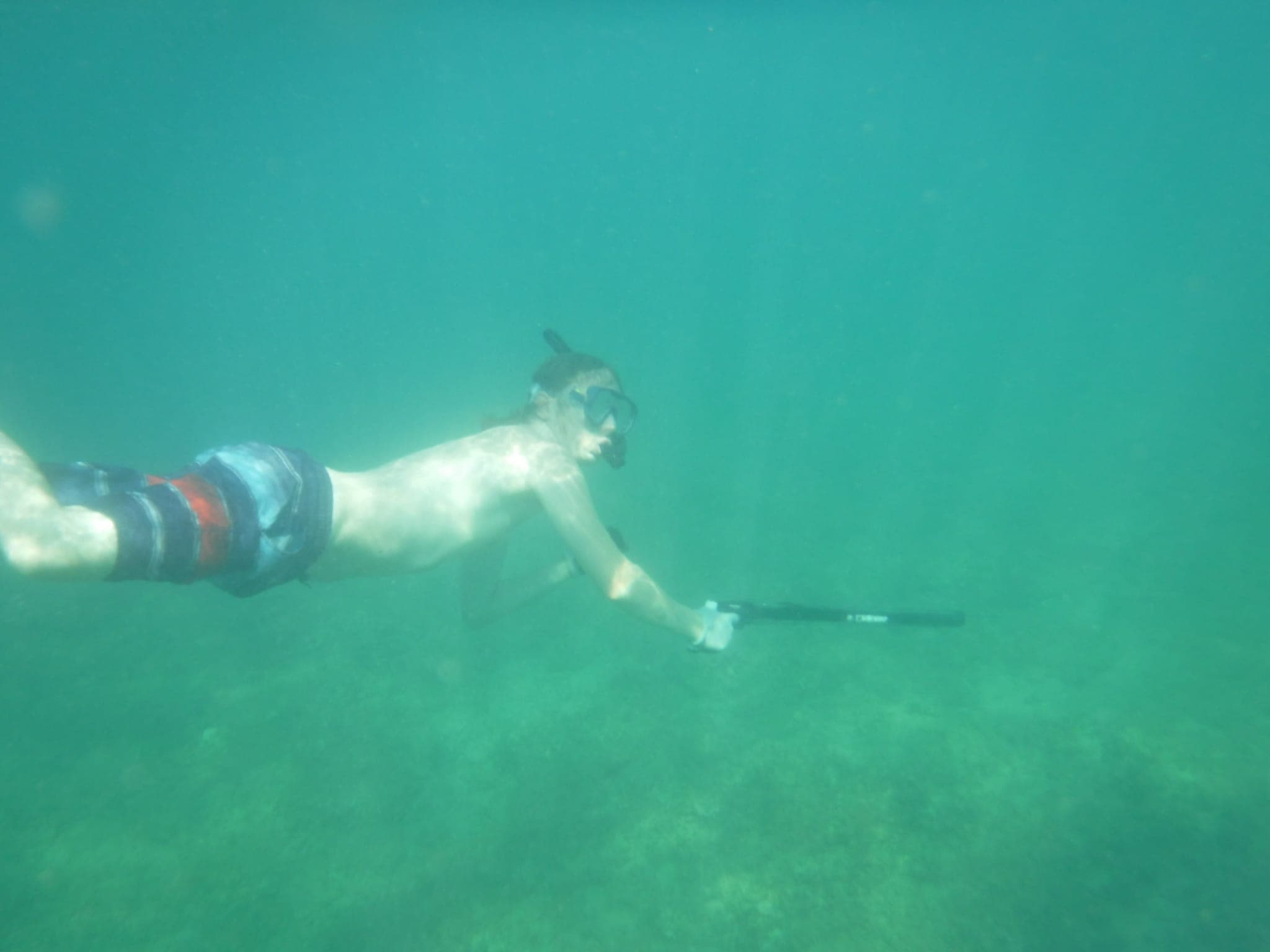 Spearfishing in croatia